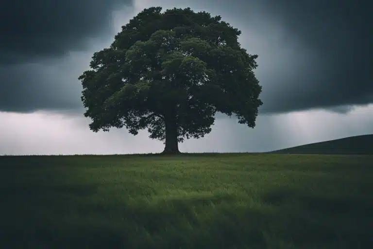 How Can You Cultivate Resilience To Stay Motivated During Challenging Times?
